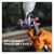 Sealey HVLP04 HVLP Gravity Feed Touch-Up Spray Gun 1mm Set-Up