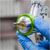 Sealey LVLP01 LVLP Gravity Feed Spray Gun 1.4mm Set-Up