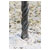Worksafe SDS5X110 SDS Plus Drill Bit Ø5 x 110mm