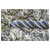 Worksafe SDS5X160 SDS Plus Drill Bit Ø5 x 160mm