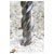Worksafe SDS8X310 SDS Plus Drill Bit Ø8 x 310mm