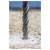 Worksafe SDS13X310 SDS Plus Drill Bit Ø13 x 310mm
