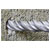 Worksafe MAX30X370 SDS MAX Drill Bit Ø30 x 370mm