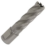 Worksafe RBHSS17L Rotabor Cutter HSS Ø17mm - Cut Depth 50mm