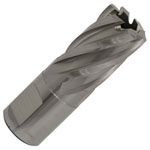 Worksafe RBHSS19S Rotabor Cutter HSS Ø19mm - Cut Depth 25mm