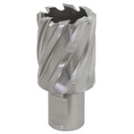 Worksafe RBHSS29S Rotabor Cutter HSS Ø29mm - Cut Depth 25mm