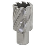 Worksafe RBHSS30S Rotabor Cutter HSS Ø30mm - Cut Depth 25mm