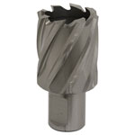 Worksafe RBHSS31S Rotabor Cutter HSS Ø31mm - Cut Depth 25mm