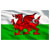Sealey APTBG03 Toolbox Graphics Pack - Wales