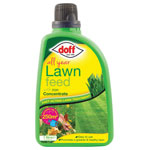 DOFF F-LF-A00-DOF-01 All Year Lawn Feed Concentrate 1 litre