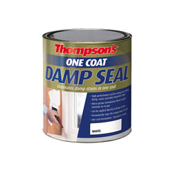 Ronseal 34579 Thompson's One Coat Stain Block Damp Seal 2.5 litre ...