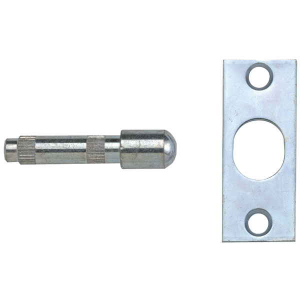  P125 Hinge Bolts Zinc