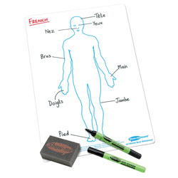 Show-me A4 White Board Human Body Pack of 10 Boards, Pens & Erasers