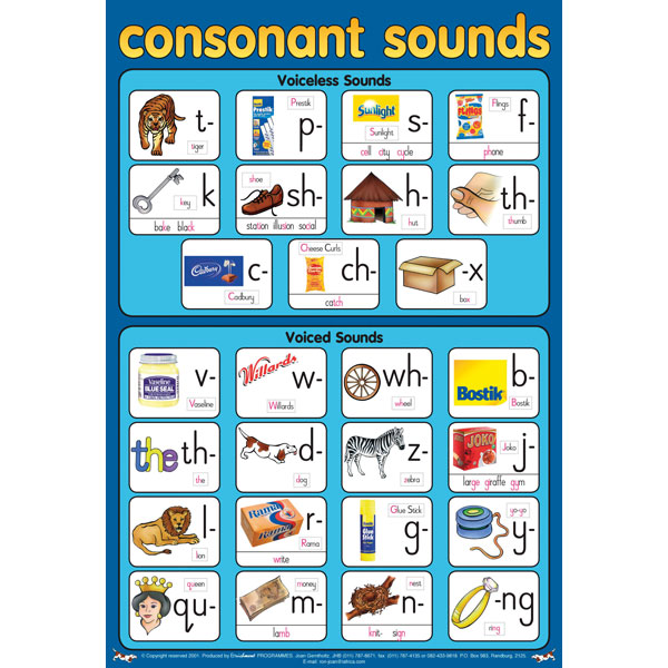 Consonant Sounds Wall Chart Rapid Online