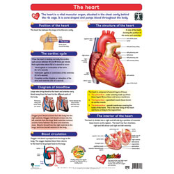 The Heart Wall Chart