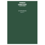Ronseal KCB.7415603.62504.00 Peel & Stick Everywhere Evergreen