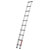 Telesteps 20130-501 3m Eco-Line Telescopic Ladder