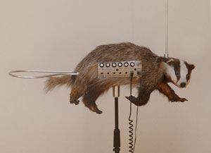 Badger Theremin