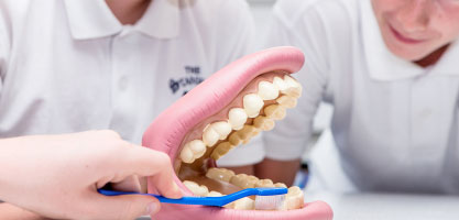 Students using Eisco biology equipment